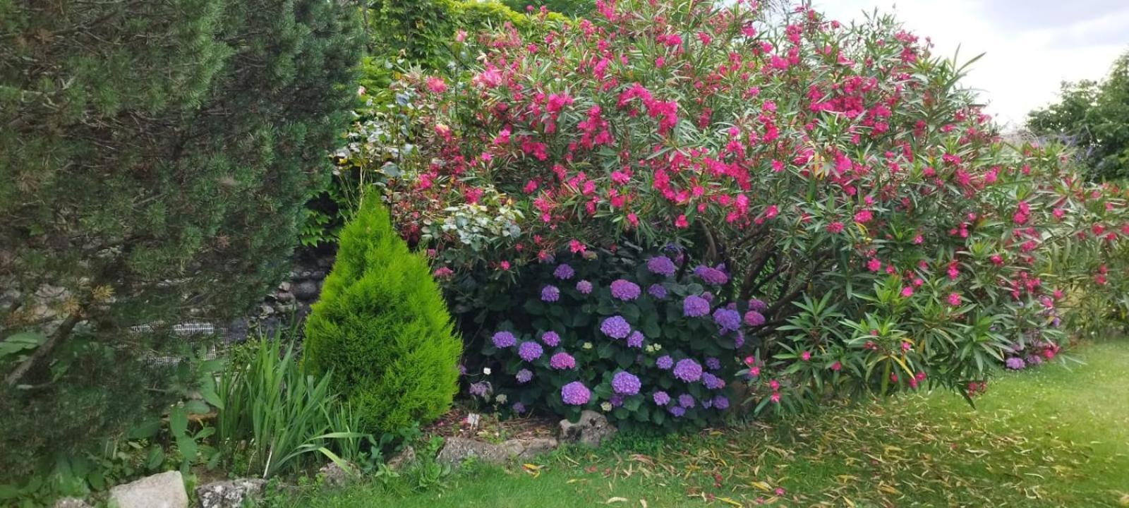 Gite 5 "Le Laurus" Aux Magnolias Aubenas Eksteriør bilde