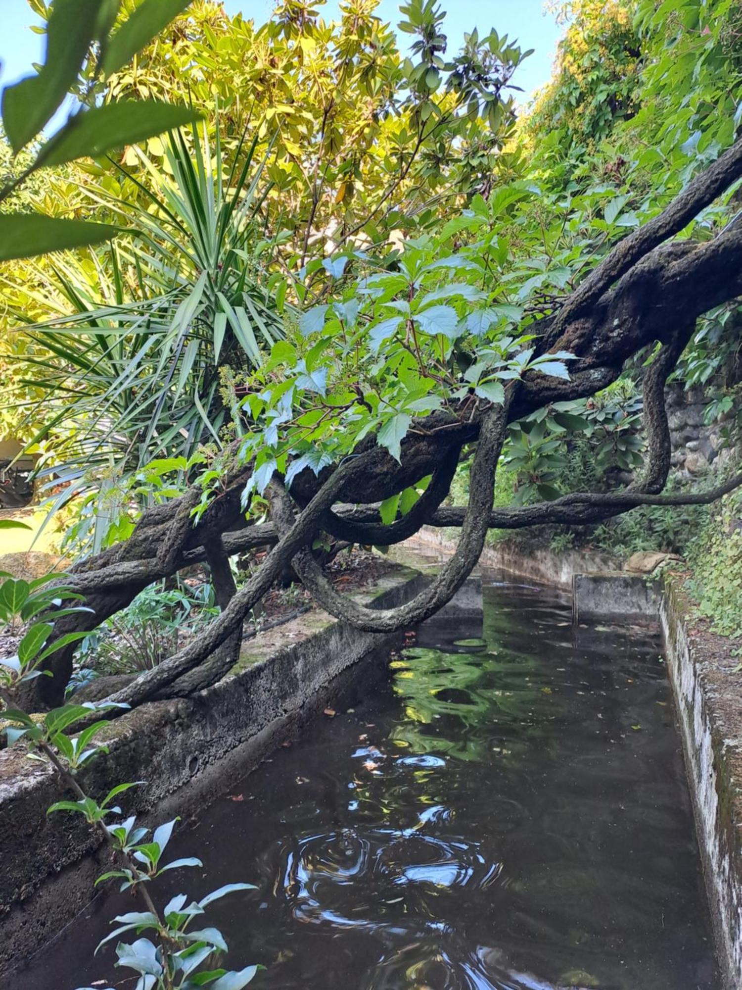 Gite 5 "Le Laurus" Aux Magnolias Aubenas Eksteriør bilde